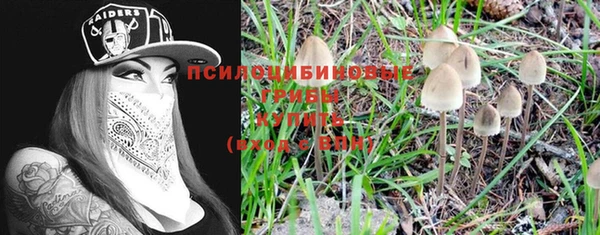 прущий лед Алексеевка
