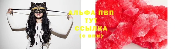 сатива Алзамай