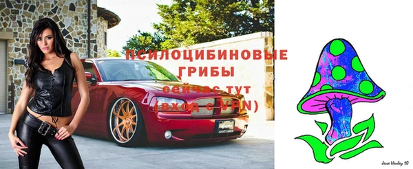 сатива Алзамай