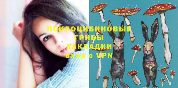 сатива Алзамай