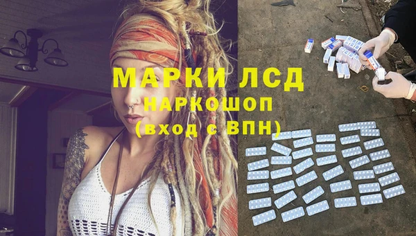 сатива Алзамай