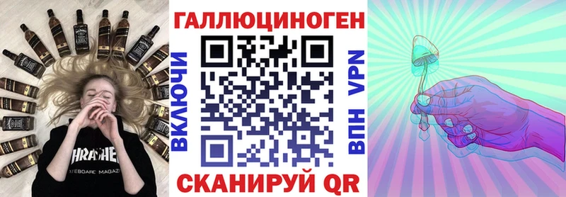 как найти закладки  Новодвинск  Галлюциногенные грибы Psilocybine cubensis 
