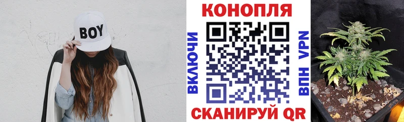 Марихуана OG Kush Новодвинск